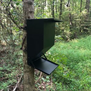 Tree Mount Gravity Feeder